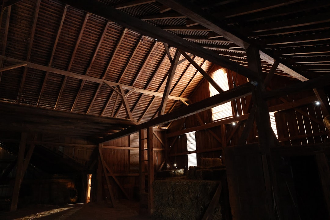 Interior of an old wooden barn with exposed beams.