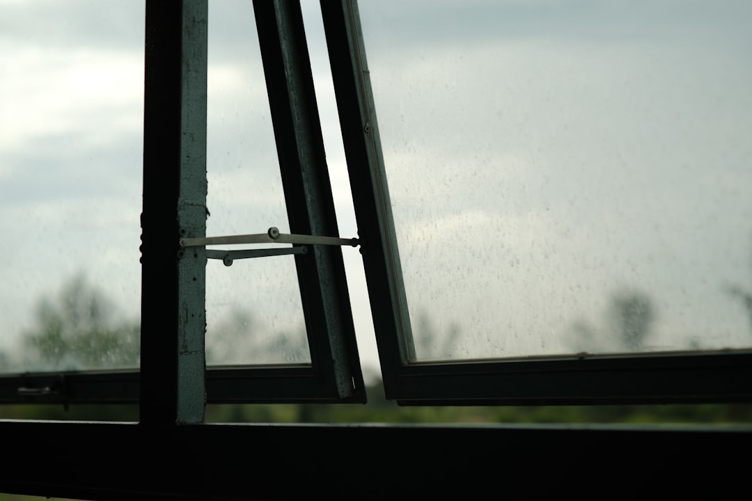a window with a view of the sky and trees